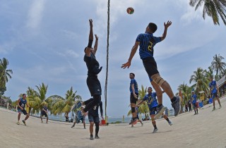 activity
